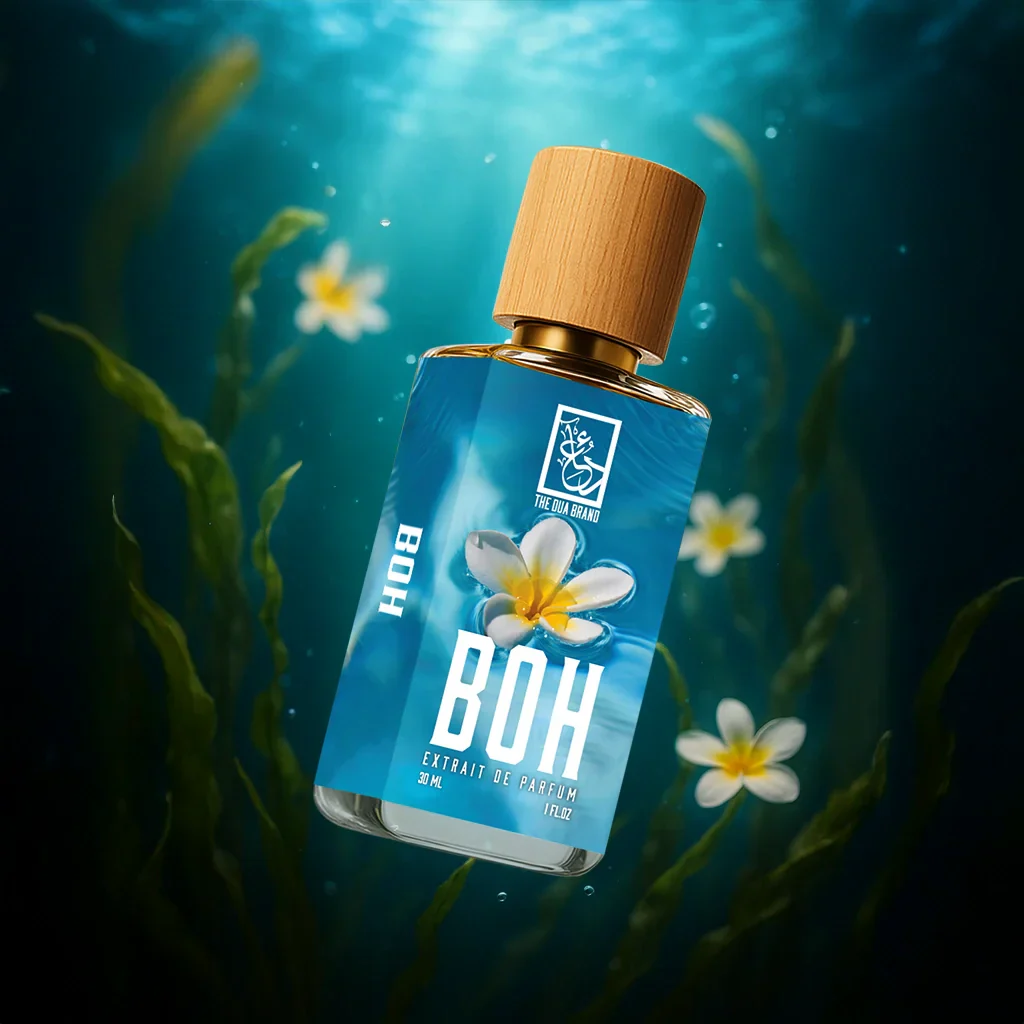 BOH - Image 2