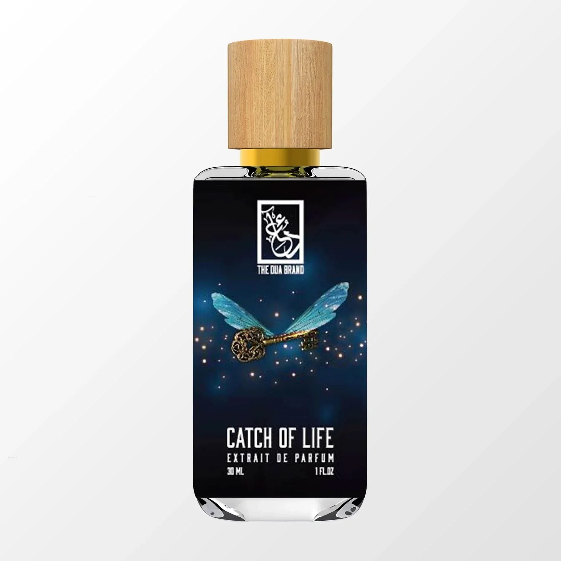 Catch of Life - Image 4