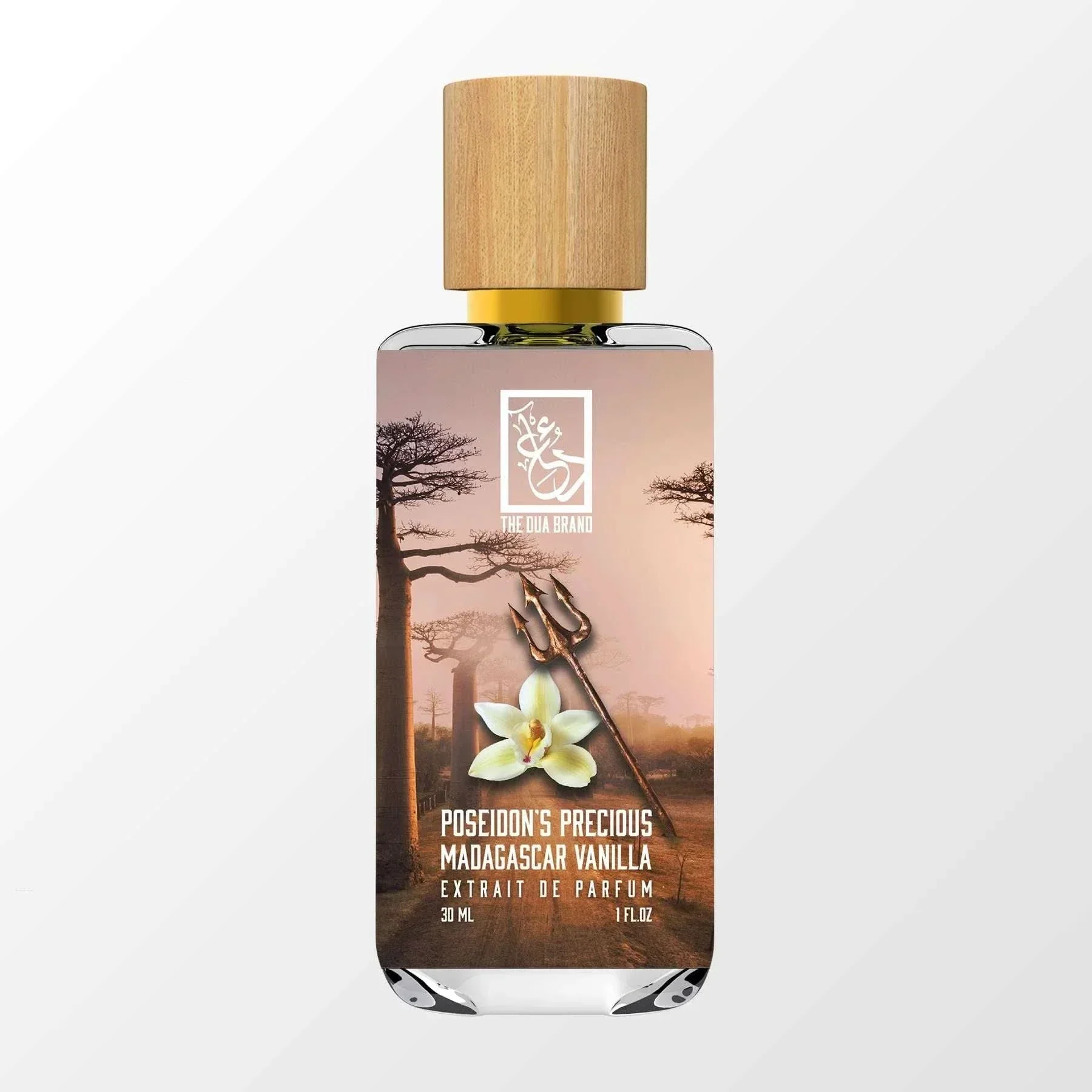 Poseidon’s Precious Madagascar Vanilla - Image 4